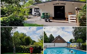 Geweldige 5 persoons Chalet met verwarmd zwembad nabij Dierenpark WILDLANDS
