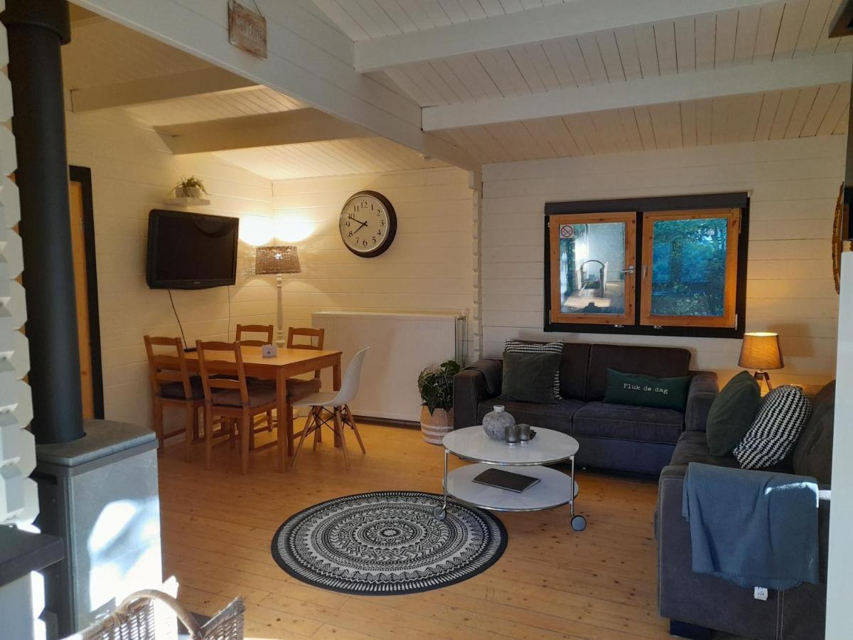 Geweldige 5 persoons Chalet met verwarmd zwembad nabij Dierenpark WILDLANDS Schoonebeek Buitenkant foto