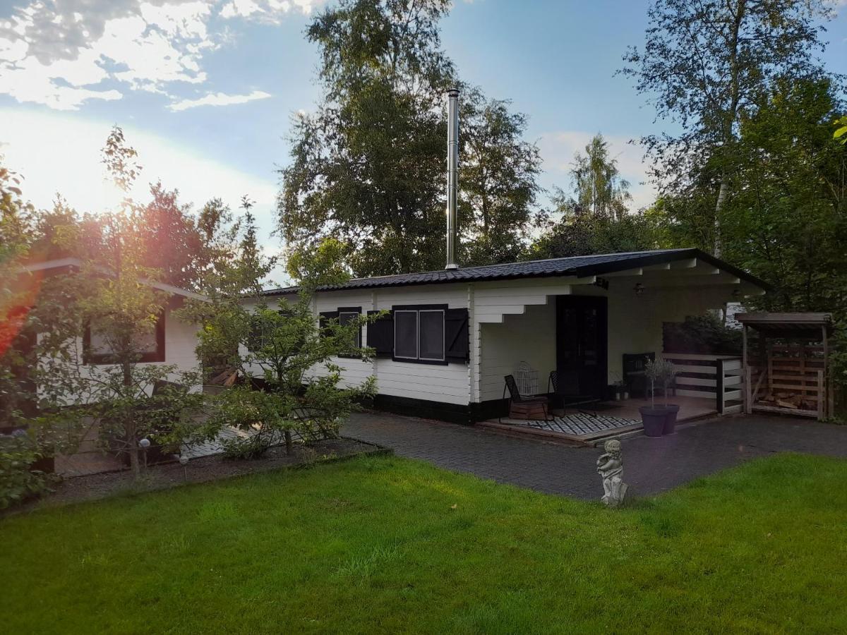 Geweldige 5 persoons Chalet met verwarmd zwembad nabij Dierenpark WILDLANDS Schoonebeek Kamer foto