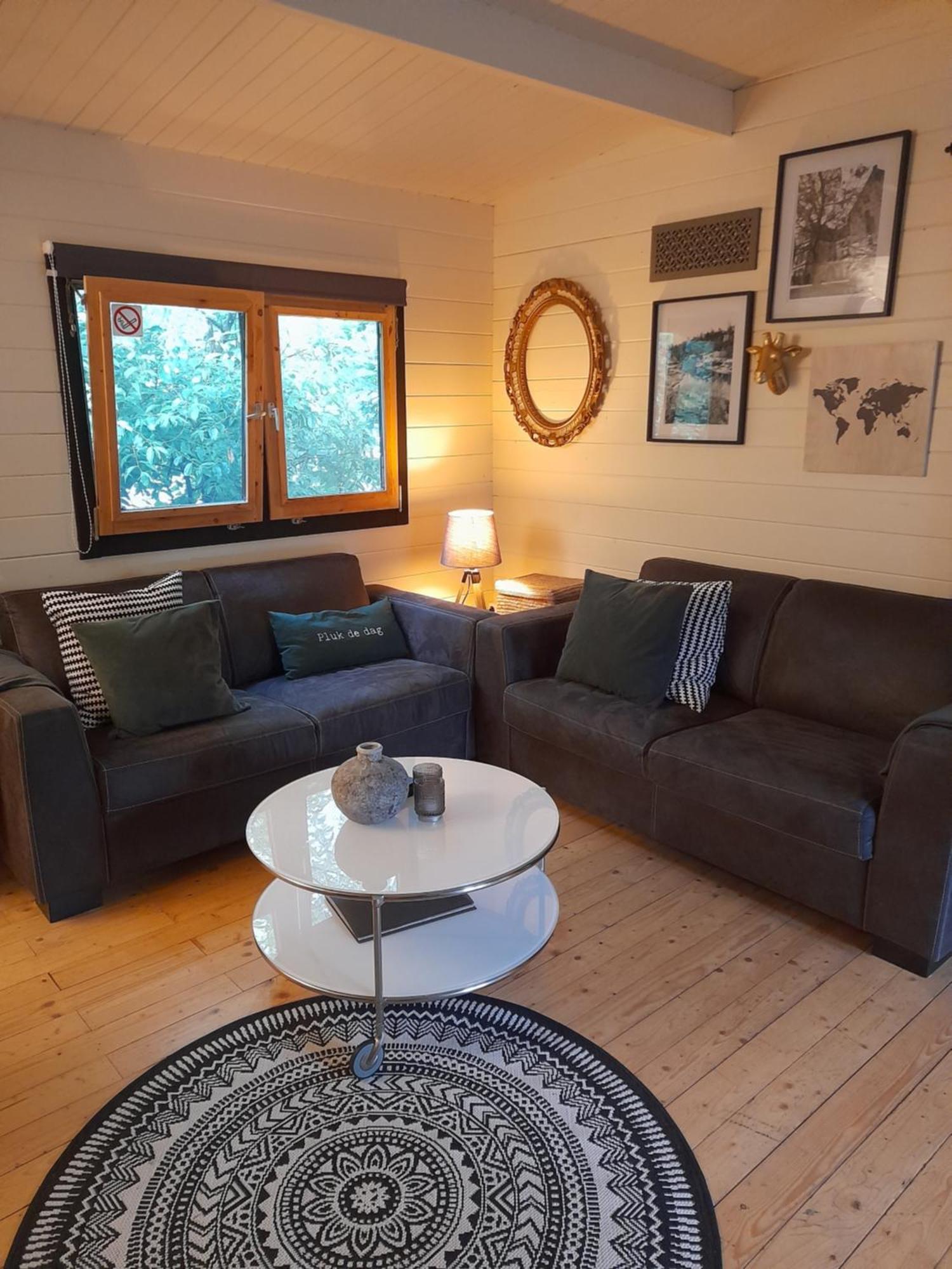 Geweldige 5 persoons Chalet met verwarmd zwembad nabij Dierenpark WILDLANDS Schoonebeek Kamer foto