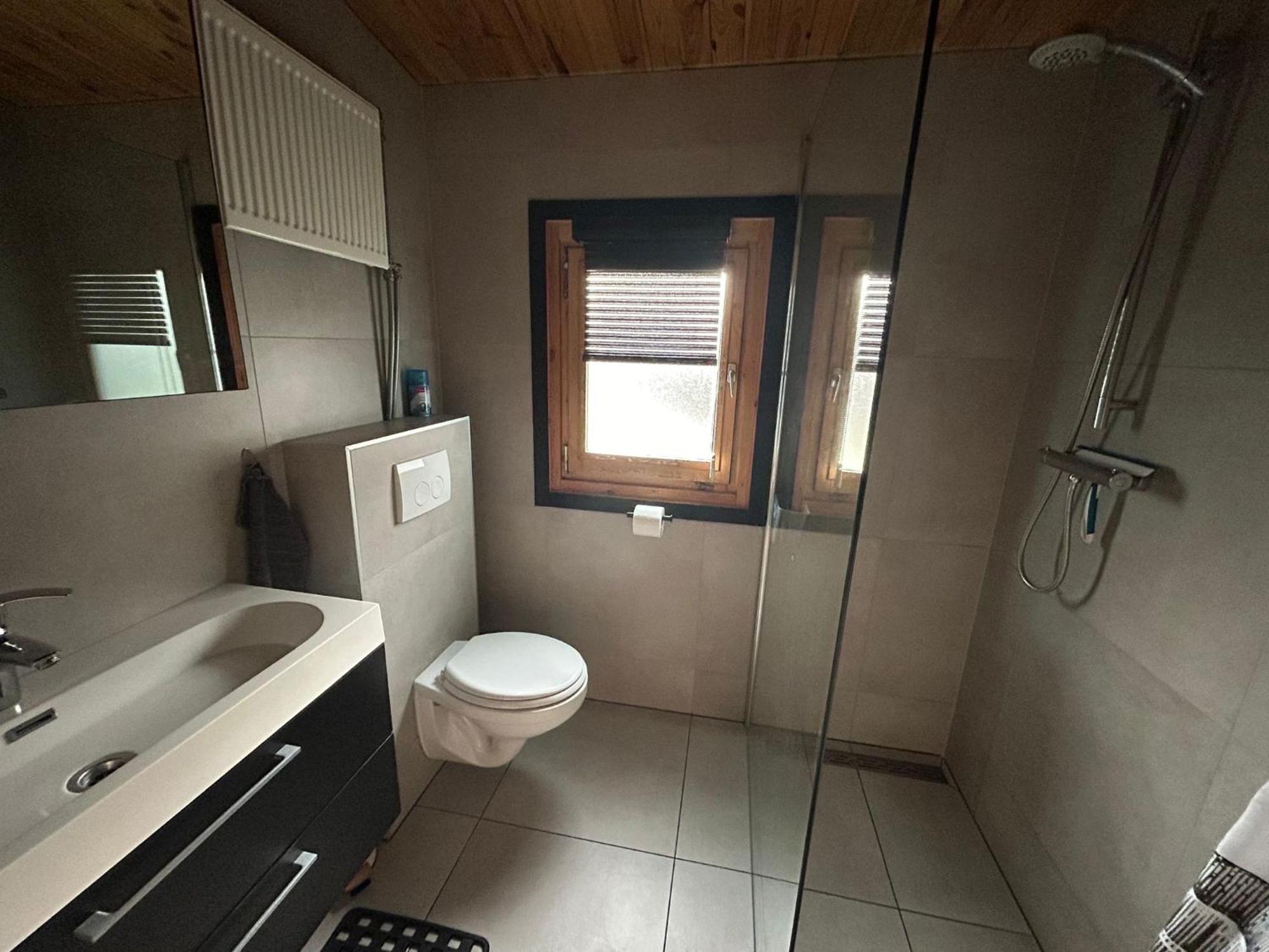 Geweldige 5 persoons Chalet met verwarmd zwembad nabij Dierenpark WILDLANDS Schoonebeek Buitenkant foto
